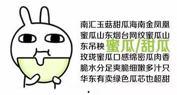 你们吃瓜都去哪里吃的图片,跟随图片探寻美食之旅 第3张 你们吃瓜都去哪里吃的图片,跟随图片探寻美食之旅 第3张